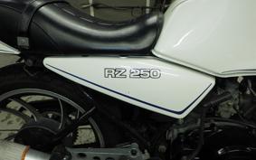 YAMAHA RZ 250 2020 4L3