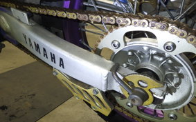 YAMAHA TT250R RAID 4GY