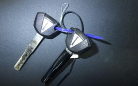 KAWASAKI NINJA7ﾊEVEﾘｯﾄ 2025 CX500A