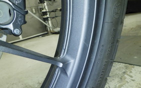 SUZUKI Vｽﾄﾛｰﾑ250SX 2025 EL11L