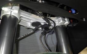 KAWASAKI NINJA1100SX SE 2025 ZXT10H