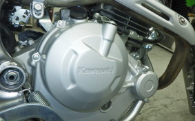 KAWASAKI KLX230R 2024 LX230E