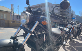 HONDA  REBEL 250 ABS MC49