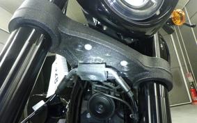 HARLEY FXLRS1920 2024