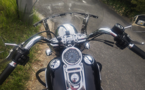 HARLEY FLD 2013 GZ4