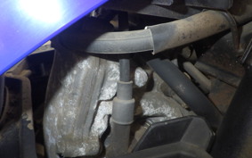 HONDA BITE AF59