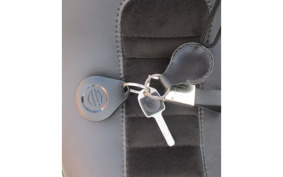 HARLEY FLFBS 2018 YGK