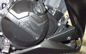 KAWASAKI Z250 ER250C