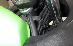 KAWASAKI NINJA 250 2
