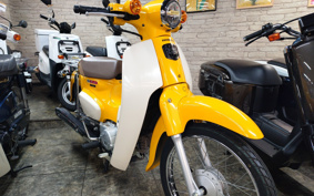 HONDA SUPER CUB50 AA09
