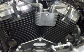 HARLEY FXST1750 2024