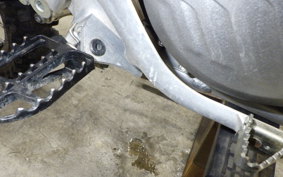 KAWASAKI KX250 2025 KX252C