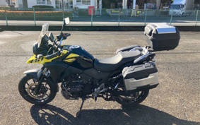SUZUKI STROM 250 DS11A