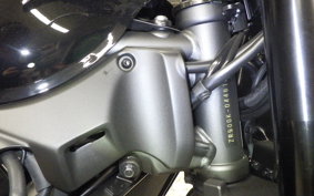 KAWASAKI Z900RS CAFE 2025 ZR900K