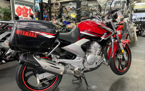 YAMAHA YBR250 PCNL