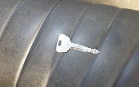 KAWASAKI Z250 Limited KZ250H