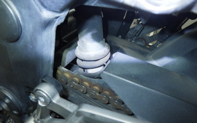 KAWASAKI NINJA 250 EX250L