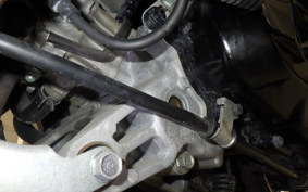 HONDA BENLY 50 AA05