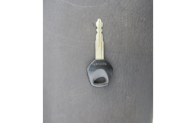 SUZUKI GLASS TRACKER BIG BOY NJ4BA