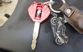 SUZUKI GSX1300R HAYABUSA 2007