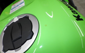 KAWASAKI ZX-25R 2026 ZX250E