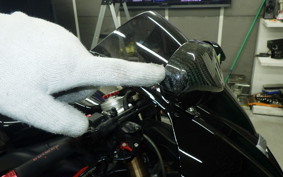 TRIUMPH DAYTONA 675 2009