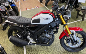 YAMAHA XSR155 RG63
