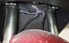 KAWASAKI NINJA 1000 2011