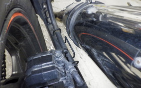 KAWASAKI Z250 2019 ER250C