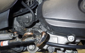 HONDA TACT-4ﾍﾞｰｼｯｸ AF79