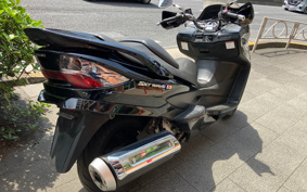 SUZUKI SKY WAVE 250 TYPES