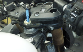 SUZUKI HAYABUSA Gen.2 2008