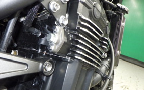 KAWASAKI Z900RS CAFE 2024 ZR900K