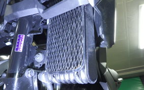 SUZUKI Vｽﾄﾛｰﾑ250SX EL11L