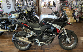BENELLI BENELLI TRK251