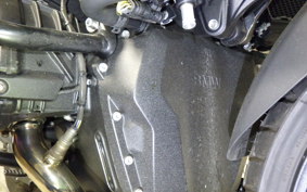 BMW R1300GS 2024
