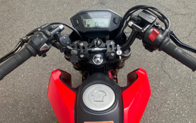 HONDA GROM JC61