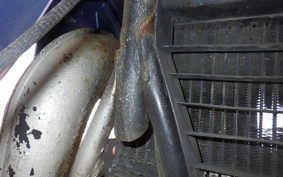 SUZUKI TS50 Hustler SA11A