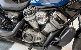 HARLEY  HARLEY RH975S NIGHT  STAR  2023 ZF1