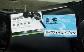 KAWASAKI NINJA 250 EX250L