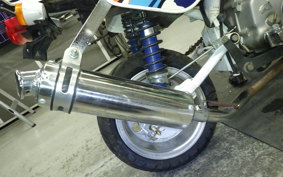 HONDA MONKEY BAJA 2024 Z50J