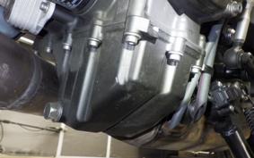 YAMAHA XSR900 GP 2024 RN96J