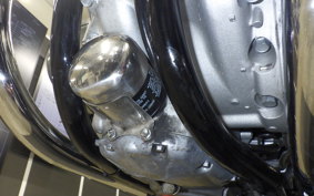 KAWASAKI W800 2021 EJ800E