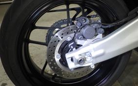 YAMAHA XSR900 GP 2024 RN96J