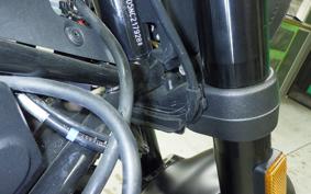 HUSQVARNA SVARTPILEN 401 2024