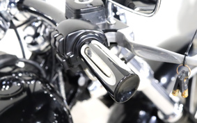 HARLEY FXSB 2014 BF5