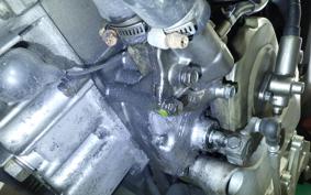 HONDA HORNET 250 MC31