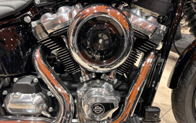 HARLEY FXBB 2025 YJ9