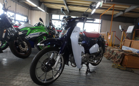 HONDA  SUPER CUB C125 JA48