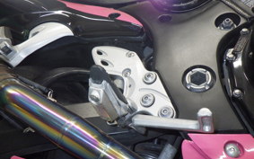 SUZUKI HAYABUSA Gen.2 2010